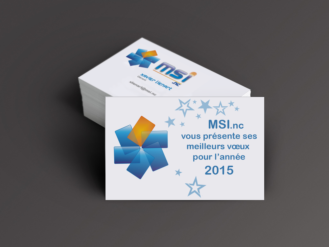 voeux_MSI_nc-2015