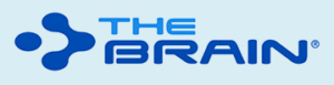 The Brain